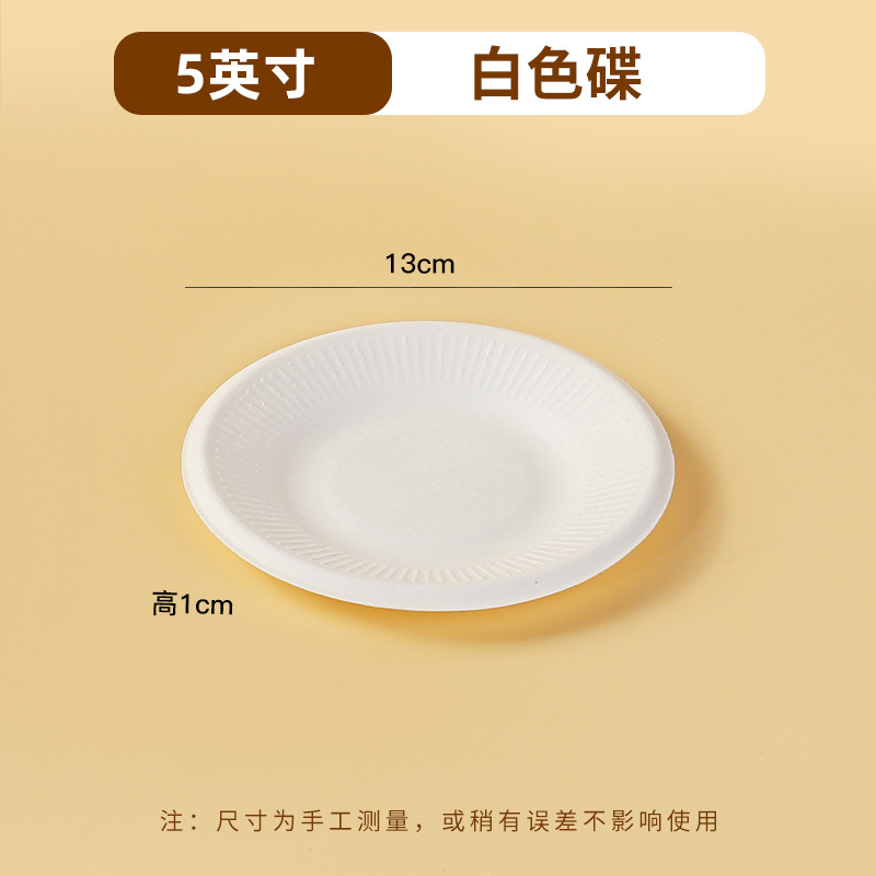 5 inch white bagasse plate 13 cm diameter