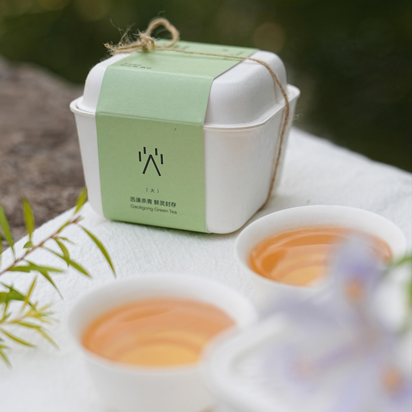 Custom green paper sleeve on a portable bagasse tea box