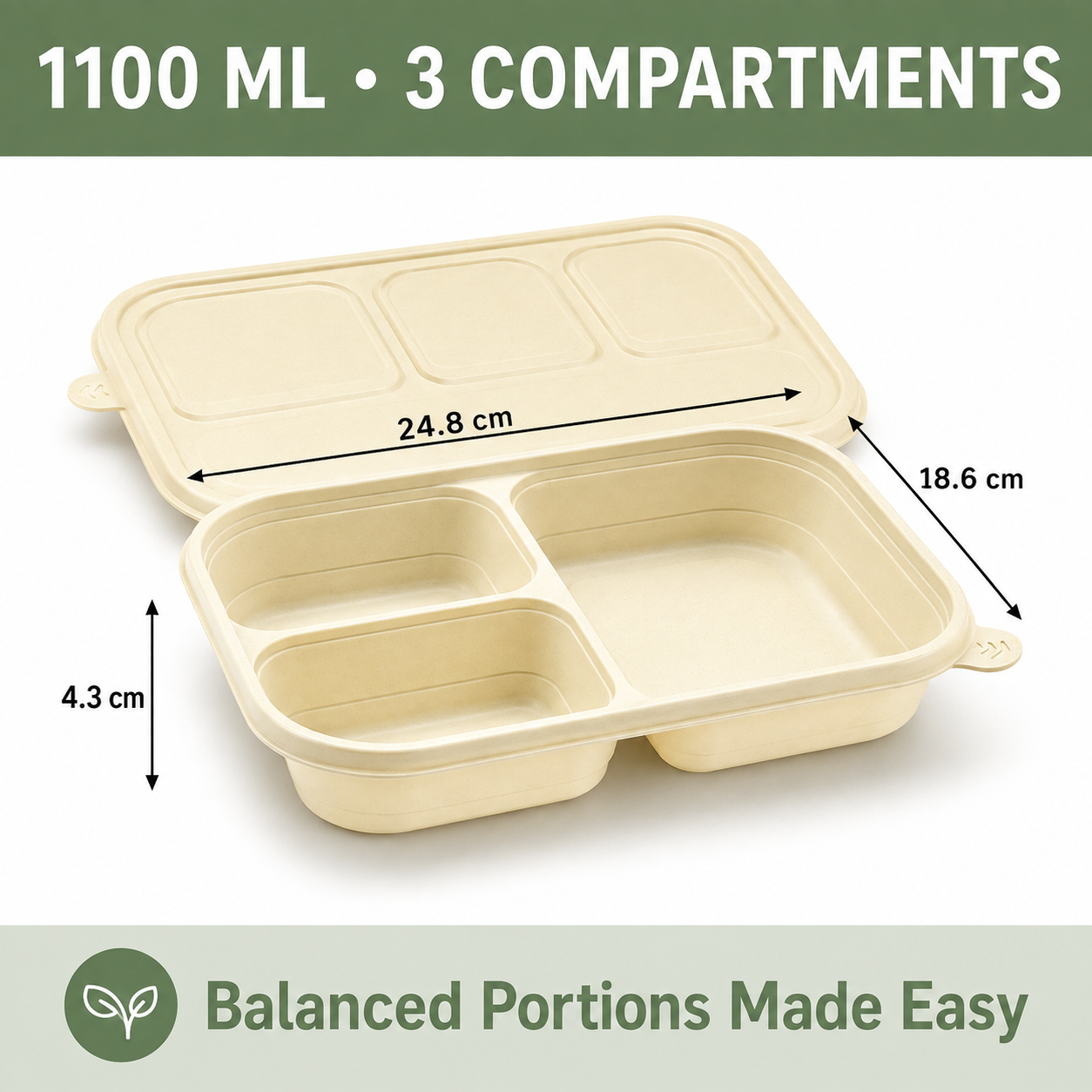 Compartment meal box product specifications