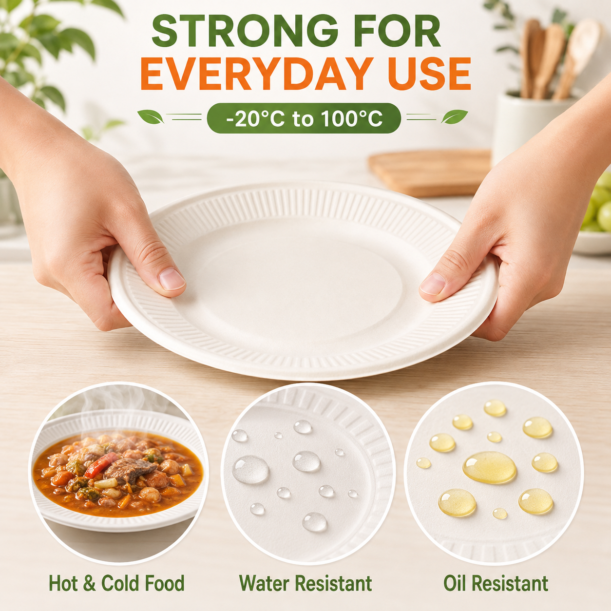Disposable round plate strength and food applications
