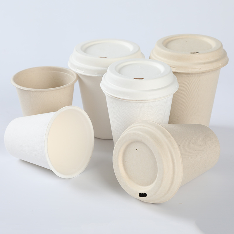 White and natural color sugarcane pulp cups with lids