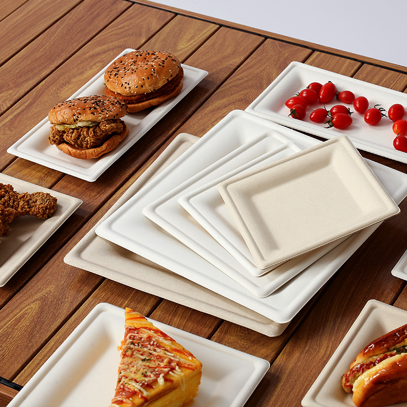 White and natural square bagasse plates serving food